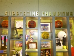 Supporting Champions display